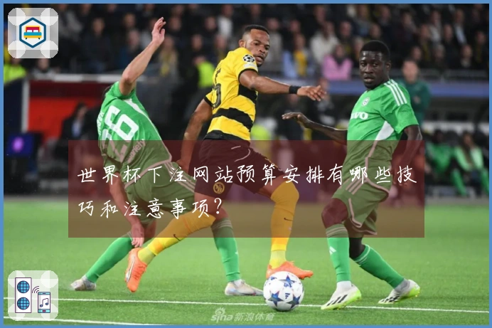 世界杯下注网站预算安排有哪些技巧和注意事项?