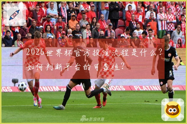 2026世界杯官方投注流程是什么？如何判断平台的可靠性？