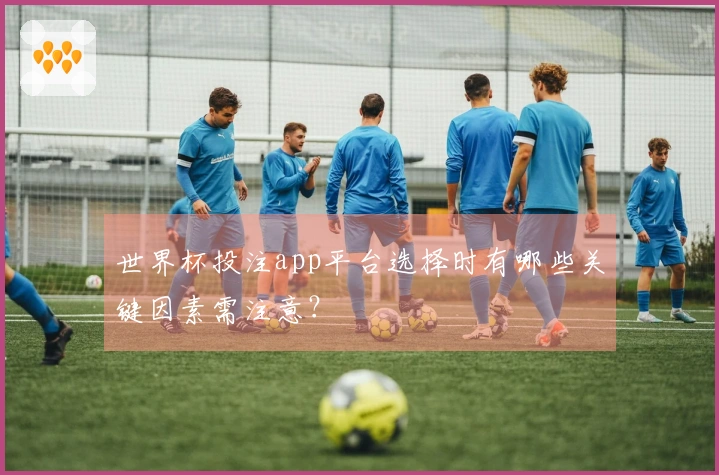 世界杯投注app平台选择时有哪些关键因素需注意？