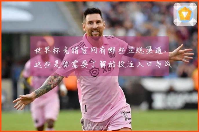世界杯竞猜官网有哪些正规渠道，这些是你需要了解的投注入口与风险提示