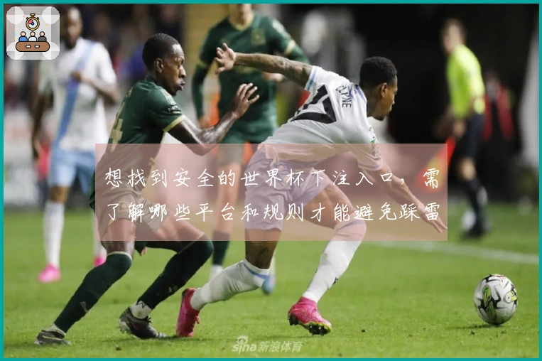 想找到安全的世界杯下注入口，需了解哪些平台和规则才能避免踩雷