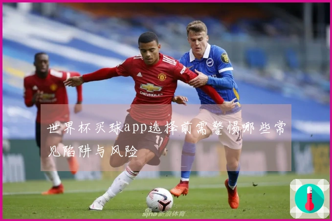 世界杯买球app选择前需警惕哪些常见陷阱与风险