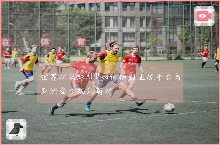 世界杯买球APP如何辨别正规平台与亚洲盘口规则解析