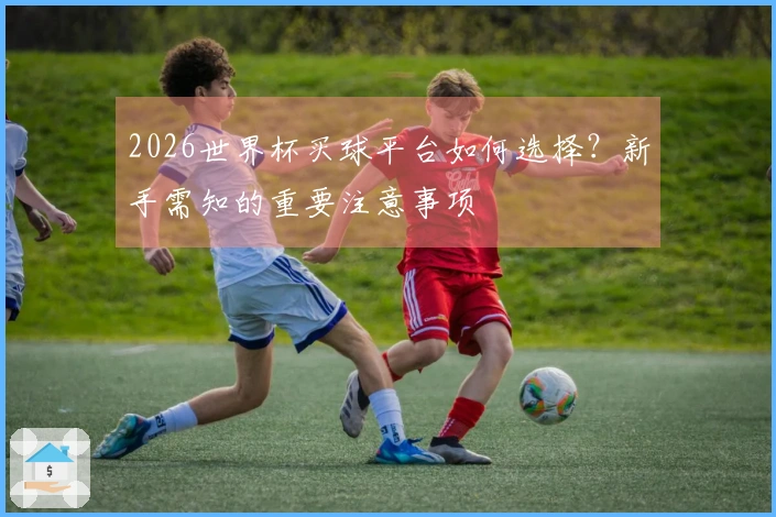 2026世界杯买球平台如何选择？新手需知的重要注意事项