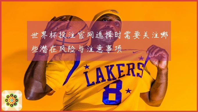 世界杯投注官网选择时需要关注哪些潜在风险与注意事项
