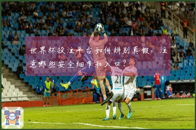 世界杯投注平台如何辨别真假，注意哪些安全细节和入口？