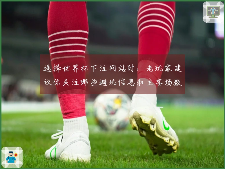 选择世界杯下注网站时，老玩家建议你关注哪些避坑信息和主客场数据？