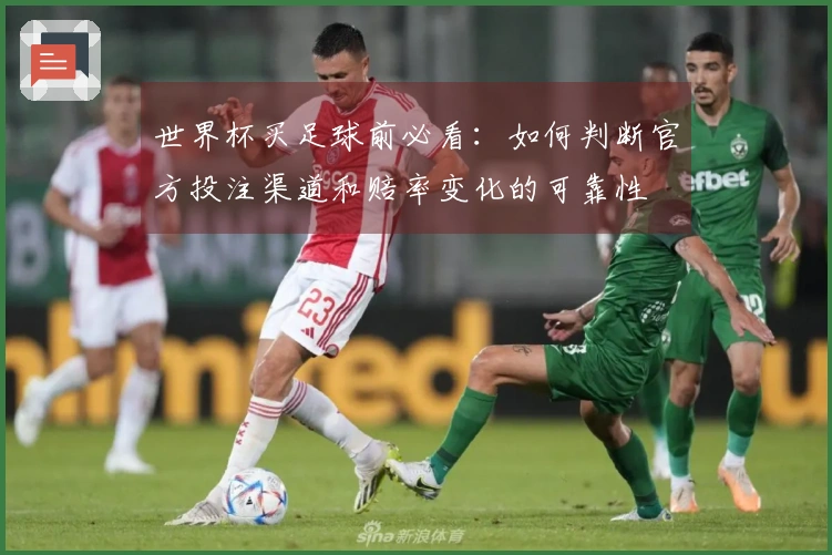 世界杯买足球前必看:如何判断官方投注渠道和赔率变化的可靠性