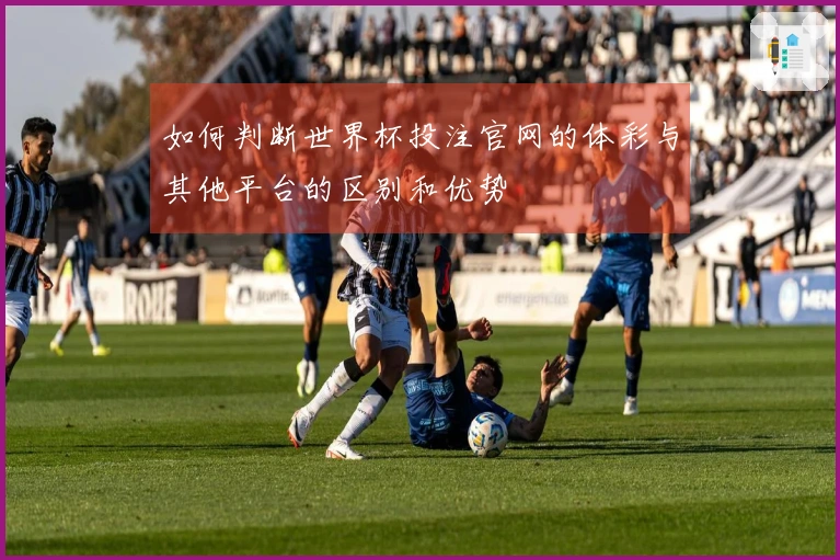 如何判断世界杯投注官网的体彩与其他平台的区别和优势