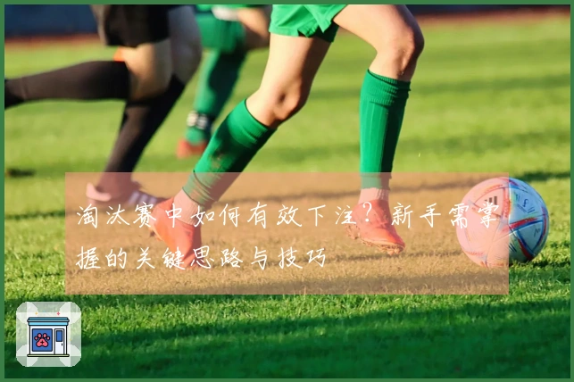 淘汰赛中如何有效下注？新手需掌握的关键思路与技巧