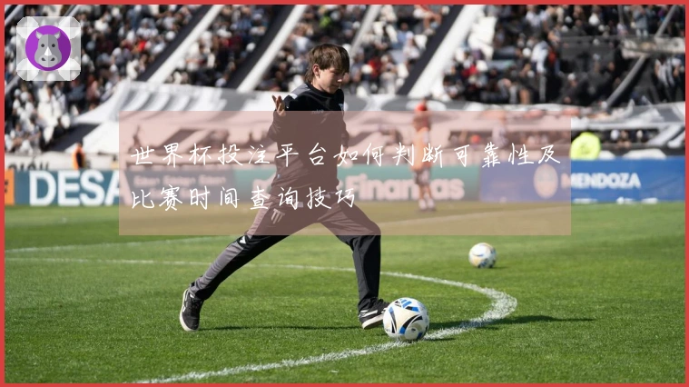 世界杯投注平台如何判断可靠性及比赛时间查询技巧