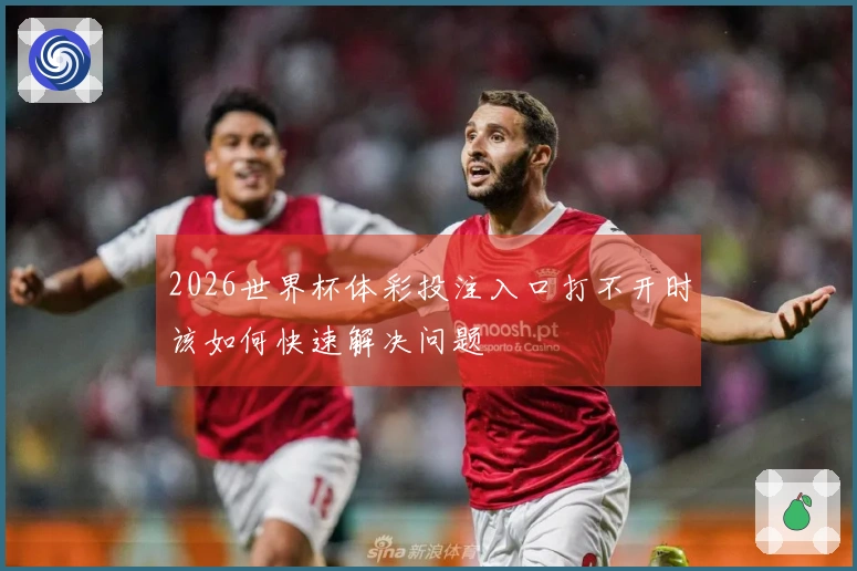 2026世界杯体彩投注入口打不开时该如何快速解决问题
