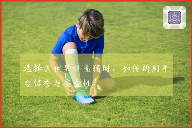 选择买世界杯竞猜时，如何辨别平台信誉与安全性？