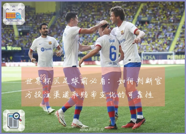 世界杯买足球前必看：如何判断官方投注渠道和赔率变化的可靠性