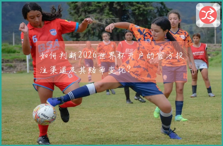 如何判断2026世界杯开户的官方投注渠道及其赔率变化？