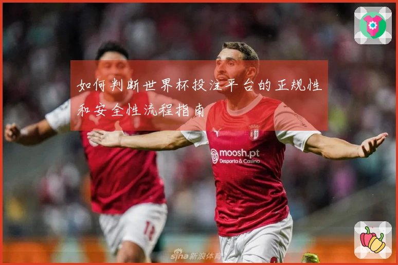 如何判断世界杯投注平台的正规性和安全性流程指南