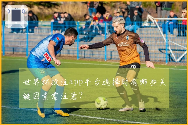 世界杯投注app平台选择时有哪些关键因素需注意？