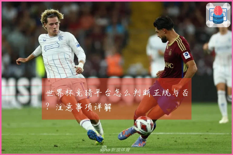 世界杯竞猜平台怎么判断正规与否？注意事项详解