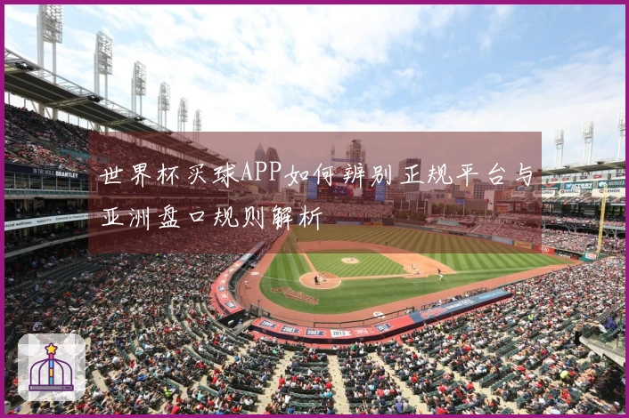 世界杯买球APP如何辨别正规平台与亚洲盘口规则解析