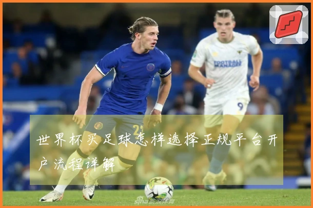 世界杯买足球怎样选择正规平台开户流程详解