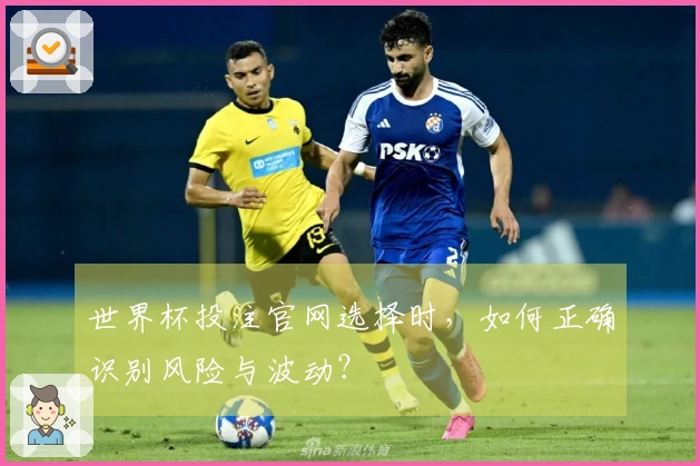 世界杯投注官网选择时，如何正确识别风险与波动？
