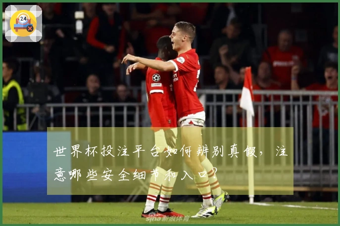 世界杯投注平台如何辨别真假，注意哪些安全细节和入口？