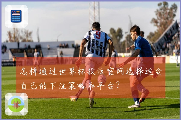 怎样通过世界杯投注官网选择适合自己的下注策略和平台？