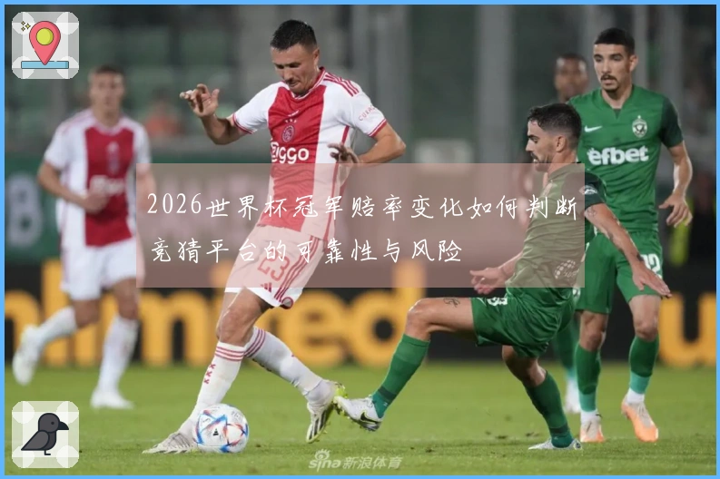 2026世界杯冠军赔率变化如何判断竞猜平台的可靠性与风险