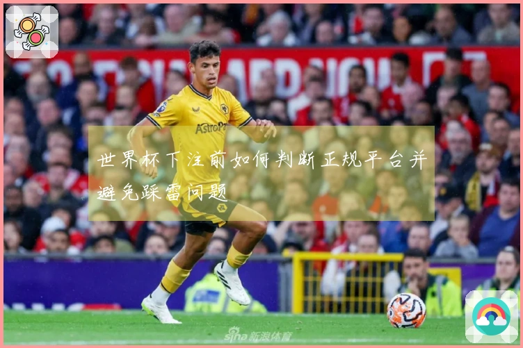 世界杯下注前如何判断正规平台并避免踩雷问题