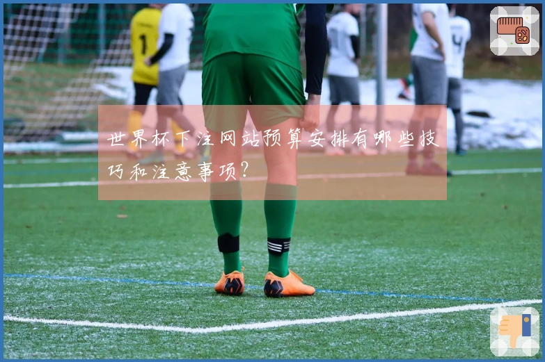 世界杯下注网站预算安排有哪些技巧和注意事项？