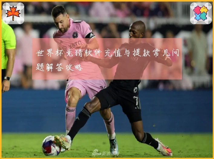 世界杯竞猜软件充值与提款常见问题解答攻略