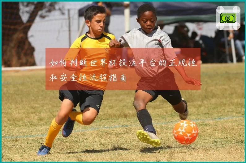 如何判断世界杯投注平台的正规性和安全性流程指南