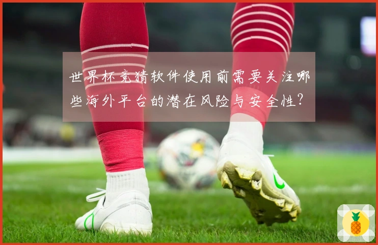 世界杯竞猜软件使用前需要关注哪些海外平台的潜在风险与安全性？