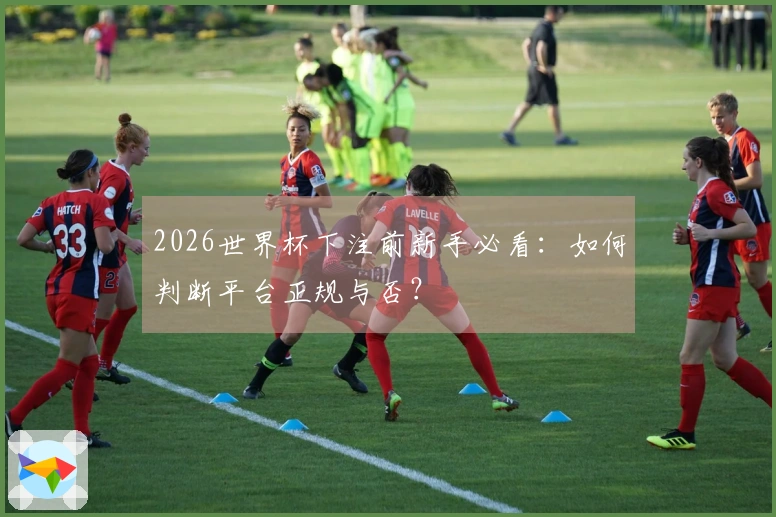 2026世界杯下注前新手必看：如何判断平台正规与否？